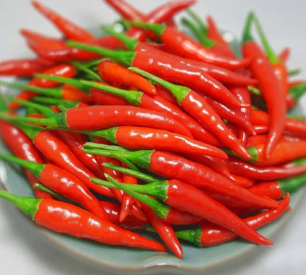 Không chỉ là hương vị, ớt còn sở hữu hàng loạt lợi ích đáng ngạc nhiên cho sức khỏe.