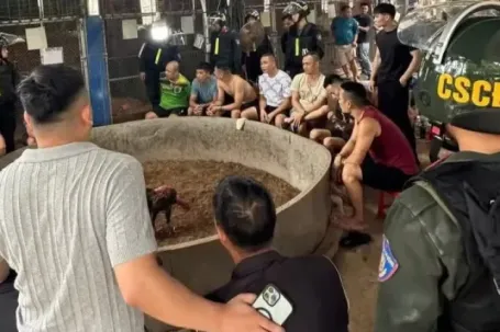 Bắt 21 đối tượng sát phạt hơn 650 triệu đồng dưới hình thức đá gà