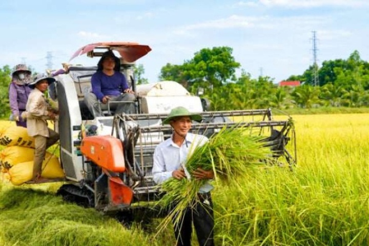 Mô hình lúa-cá thu lãi hơn 700 triệu/năm của một ông nông dân Quảng Bình, nay là tỉnh Quảng Trị có gì đặc biệt?