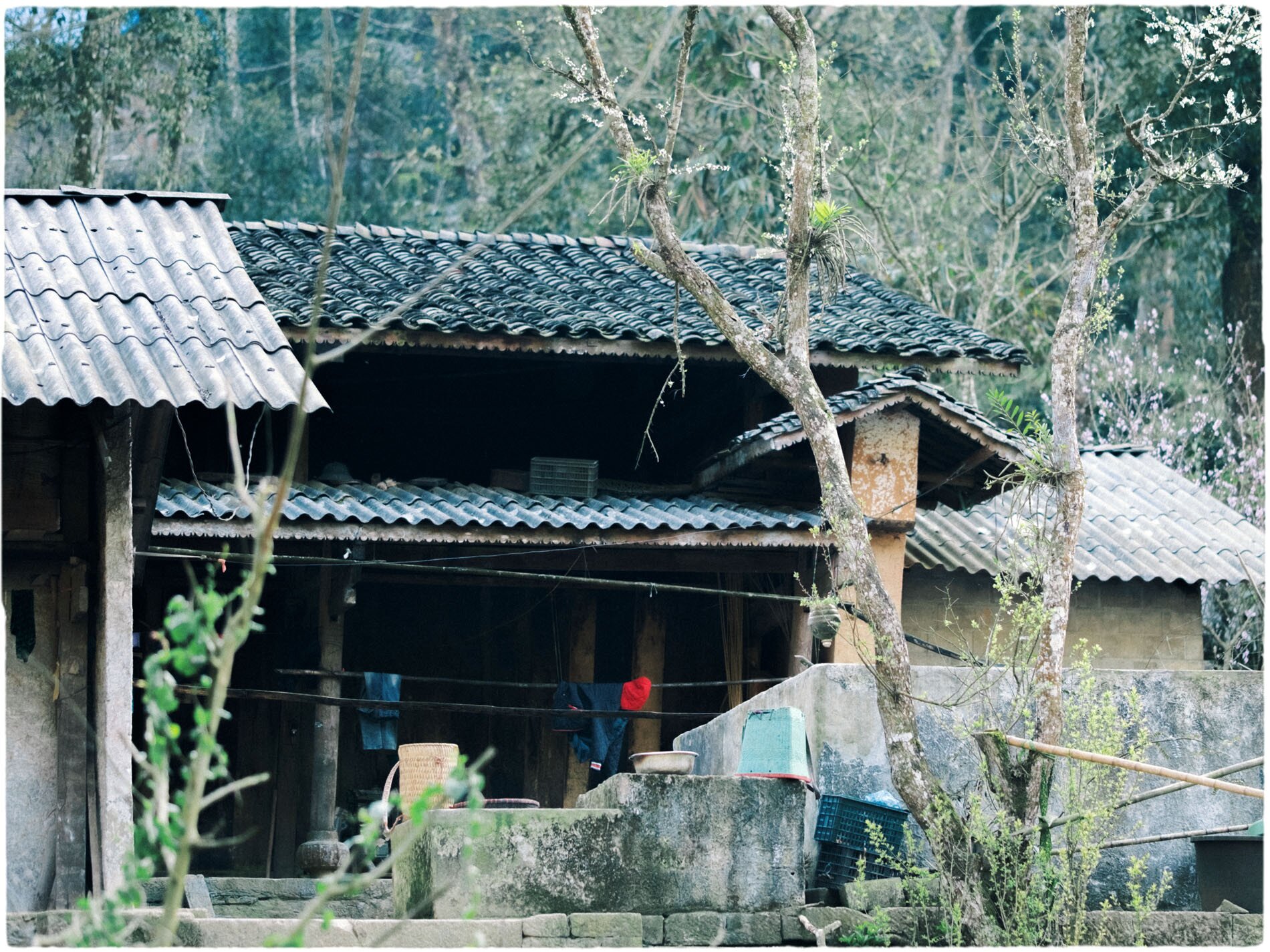 Ngôi làng biệt lập giữa rừng già ở Tuyên Quang hút khách vì vẻ đẹp nguyên sơ - 6