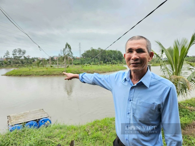 Cựu binh Đặng Văn Luân (phường Đồng Sơn, tỉnh Quảng Trị) bên ao cá trong mô hình lúa - cá mang lại nguồn thu ổn định. Ảnh: Trần Anh