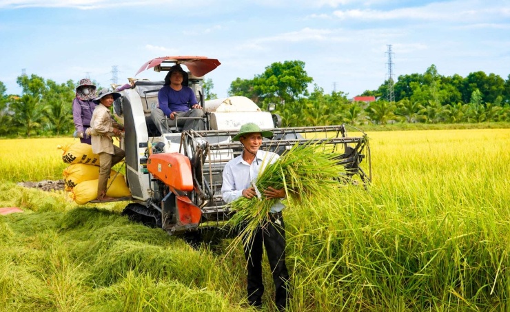 Mô hình sản xuất lúa hữu cơ kết hợp nuôi cá giúp cựu binh Đặng Văn Luân nâng cao hiệu quả kinh tế, thu về hàng trăm triệu đồng mỗi năm.