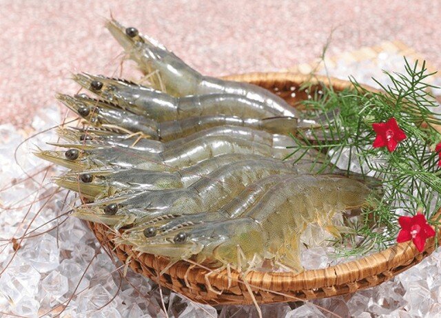 Vỏ tôm hay thịt tôm giàu dinh dưỡng hơn? Nhiều người vẫn hiểu sai về nguồn canxi - 2