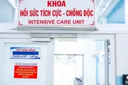 TPHCM: 5 nạn nhân vụ cháy quán ăn trên đường Ngô Đức Kế đều tử vong