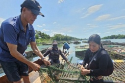 Cá lồng sông Son mang về gần 50 tỷ đồng mỗi năm, thành đặc sản vùng di sản