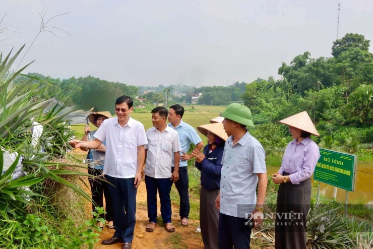 Đoàn công tác của UBND xã Phú Mỹ thăm mô hình trồng dứa mật không gai của gia đình bà Nguyễn Thị Thu Chang. Ảnh: XPM