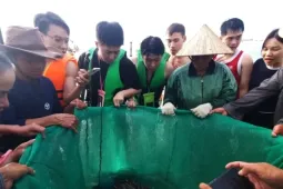 Đà Nẵng: Du khách kéo nhau 'đột nhập' chợ cá lúc rạng sáng