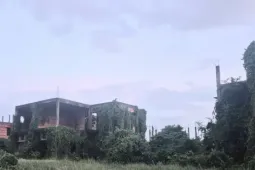 Dự án nghìn tỷ 'đắp chiếu', siêu đô thị thành… vườn sắn