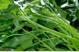 Đau dạ dày có nên kiêng rau muống? Sự thật khiến nhiều người bất ngờ