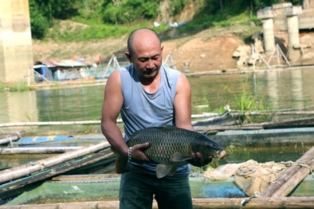 “Mỏ vàng” giữa lòng hồ giúp nhiều hộ miền núi Thanh Hóa thoát nghèo