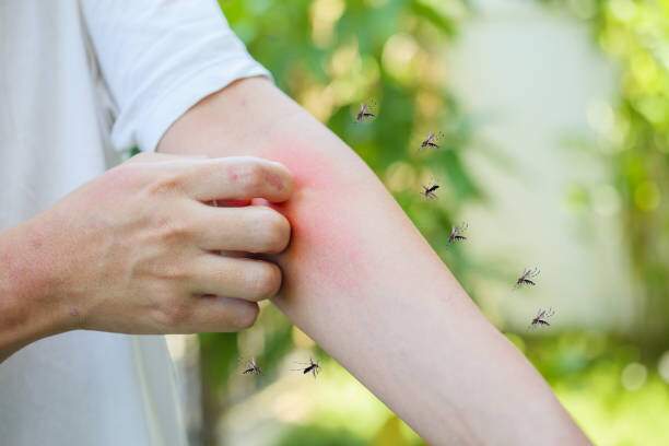 Những nhóm đối tượng dễ bị muỗi phát hiện do lượng khí CO2 thải ra lớn. Ảnh minh họa: iStock