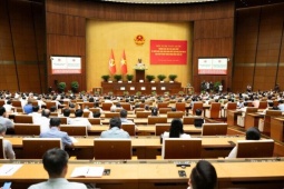 Sửa Luật Đất đai: Đề xuất hạn chế phân lô bán nền, đánh thuế đất bỏ hoang
