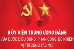 8 Ủy viên Trung ương Đảng vừa được điều động, phân công vị trí công tác mới