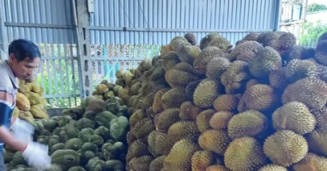 Vụ Thứ trưởng NN&MT bị bắt: Tức nghẹn "giấy phé...