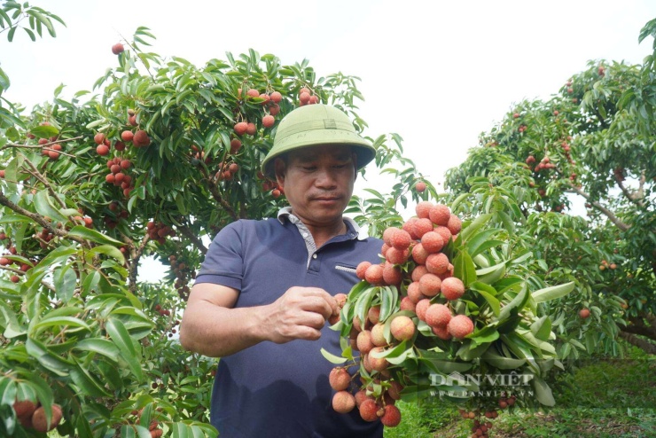 Khương Lực