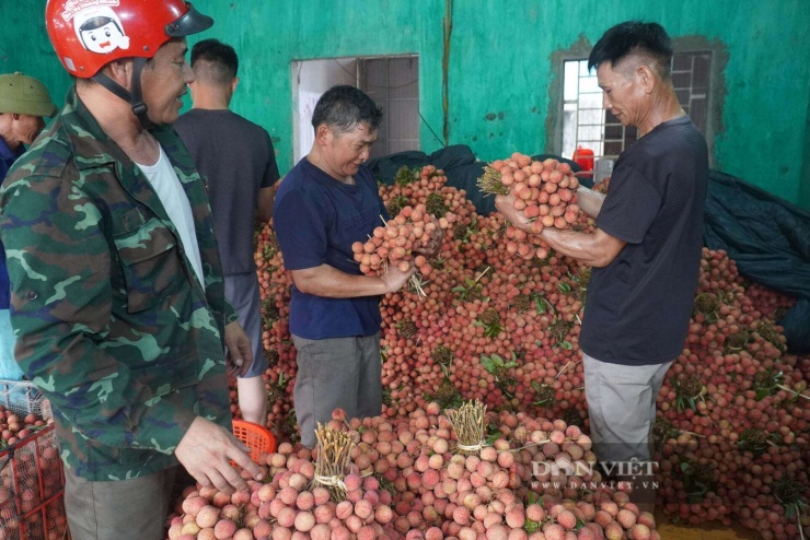 Khương Lực