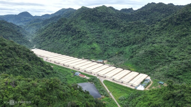 Trang trại của Công ty Dabaco Thanh Hóa ở xã Thạch Quảng. Ảnh: Lê Hoàng