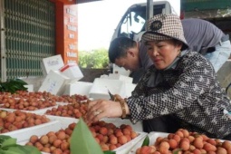 Giá loại trái cây đặc sản cao nhất trong lịch sử, Bắc Ninh thu trên 9.000 tỷ đồng