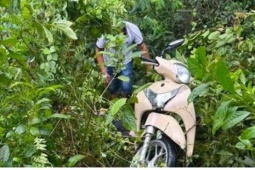 Phát hiện mẹ tử vong, con gái bị thương nặng tại vách đá ven đường ở Hà Tĩnh