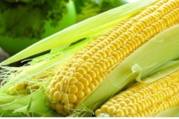 Đi chợ nên ưu tiên 5 loại rau quả này vì ít tồn dư thuốc bảo vệ thực vật