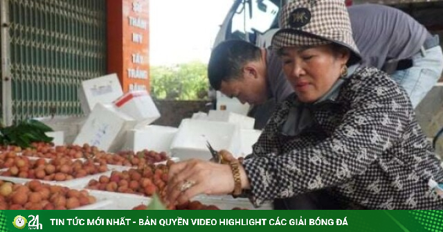 Giá loại trái cây đặc sản cao nhất trong lịch sử, Bắc Ninh thu trên 9.000 tỷ đồng