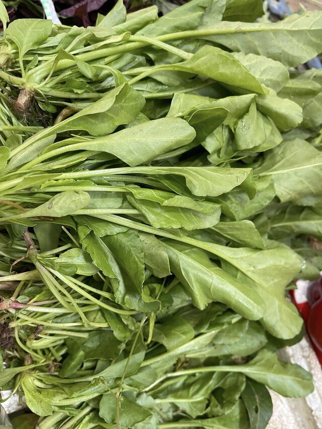 Cải bó xôi là một trong những loại rau giàu sắt hàng đầu. Ngoài ra, nó còn cung cấp vitamin C và nhiều chất chống oxy hóa, giúp tăng hiệu quả tạo máu. Một chén cải bó xôi nấu chín có thể cung cấp khoảng 6.4 mg sắt, tương đương với 36% nhu cầu hàng ngày của một người trưởng thành.