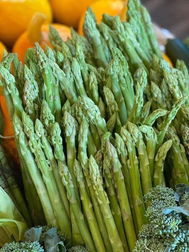 Măng tây là một nguồn cung cấp sắt và folate tốt, giúp hỗ trợ sự hình thành và phát triển của hồng cầu. Măng tây cũng chứa nhiều vitamin K và A, cùng với chất xơ.