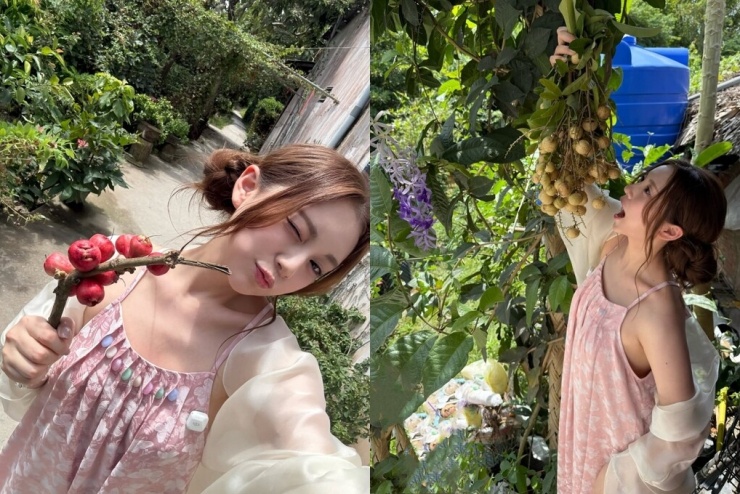 Ca sĩ Young Ju hái và thưởng thức trái cây trong chuyến đi.