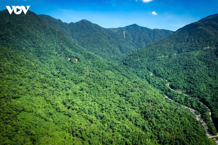 Dãy Quảng Nam Châu mây phủ quanh năm, có đỉnh núi hơn 1.500m tại Quảng Ninh, sở hữu những thảm rừng già, rừng nguyên sinh và rừng phòng hộ đầu nguồn có giá trị sinh thái rất lớn.