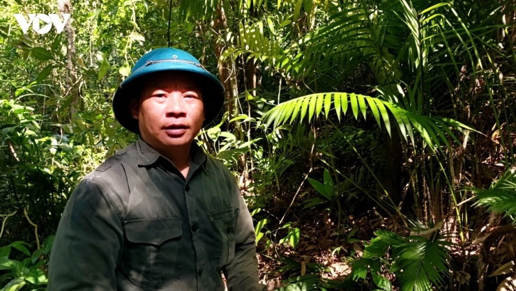 Ông Tằng Tắc Dếnh - người dân thôn Tài Chi, vừa dẫn đường, vừa phát lối, đánh dấu từng đoạn rừng, chia sẻ: "Từ ngày xưa người dân đã biết khu này có cây chè rồi. Ngày trước thì vẫn lên đây hái chè vào dịp Thanh Minh mang đi bán.&nbsp;Hàng chục năm trở lại đây, bà con trồng được chè phía dưới lên mới không lên đây lấy nên mới có rừng chè thế này"