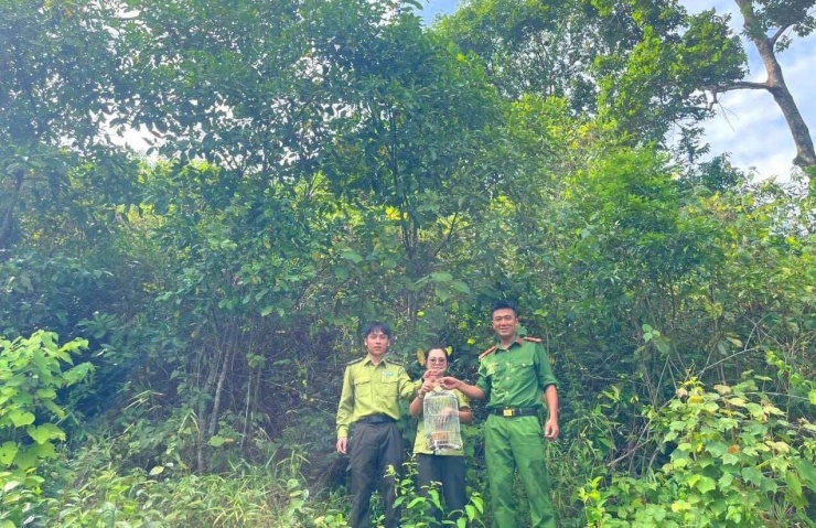 CAX Yên Xuân