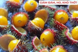 Tin tức sức khỏe - Nhà có người bị đàm, ho dai dẳng, hãy mách họ làm ngay cách này để lá phổi bớt “chịu trận” mỗi ngày