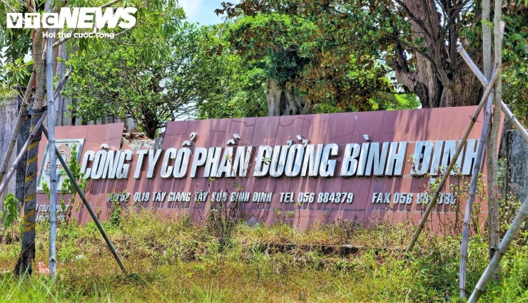 Chỉ có khuôn viên và khu văn phòng điều hành trở thành nơi trồng các loại cây cảnh cổ thụ, tuy nhiên các lối đi nội bộ hay phía trước cổng vẫn bị cỏ dại, cây bụi, dây leo che lấp.