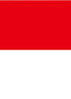 Trực tiếp bóng chuyền nữ Việt Nam - Indonesia: Tiếp đà chiến thắng (SEA V.Cup) - 1