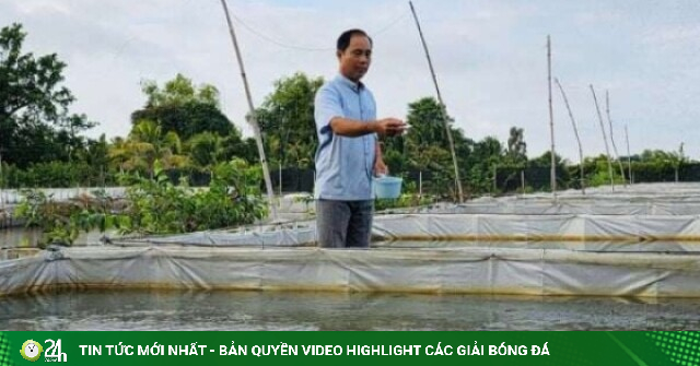 Tỷ phú nuôi ếch ở Đồng Tháp đưa công nghệ gì vào ao vèo mà thu lãi nửa tỷ/năm?