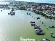 Vì sao tàu cá tại Huế nằm bờ hàng loạt?