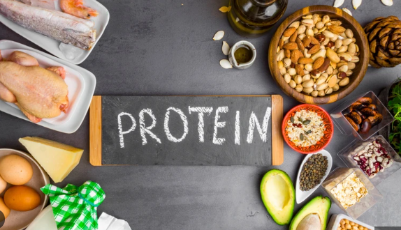 Protein là dưỡng chất cần nhiều thời gian để phân hủy nhất.