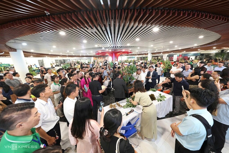 Quang cảnh buổi đấu giá sâm. Ảnh: Lê Trọng Khang