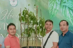 'Hoa hậu' sâm Ngọc Linh bán đấu giá hơn 700 triệu đồng