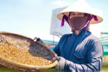 Ngâm mình dưới sông Trà, săn đặc sản “nức tiếng” xứ Quảng