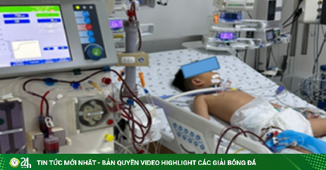 Bé trai 4 tuổi suy gan cấp, phải lọc máu liên tục vì được cho uống paracetamol hạ sốt 3 tiếng/lần
