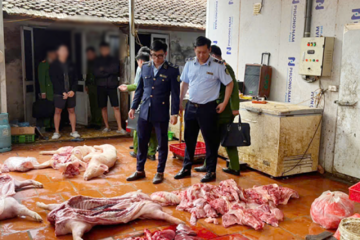 Hưng Yên: Điều tra vụ gần 1 tấn thịt lợn nhiễm dịch tả châu Phi, lợn bệnh 'suýt' đưa ra thị trường