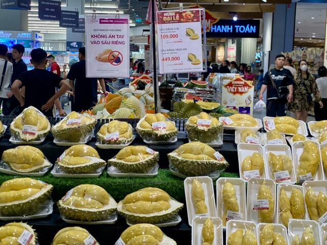 Sầu riêng tiếp tục là mặt hàng xuất khẩu chủ lực, đóng góp hơn 50% tổng kim ngạch xuất khẩu của toàn ngành và giữ vai trò là động lực tăng trưởng quan trọng.