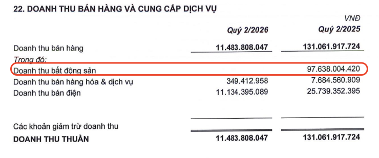 Doanh thu bất động sản bằng 0, Quốc Cường Gia Lai làm gì để trả nợ bà Trương Mỹ Lan? - 2