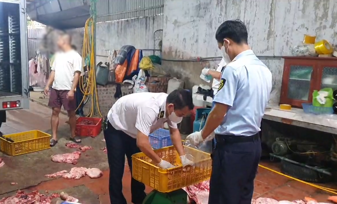 Hưng Yên: Điều tra vụ gần 1 tấn thịt lợn nhiễm dịch tả châu Phi, lợn bệnh 'suýt' đưa ra thị trường - 2