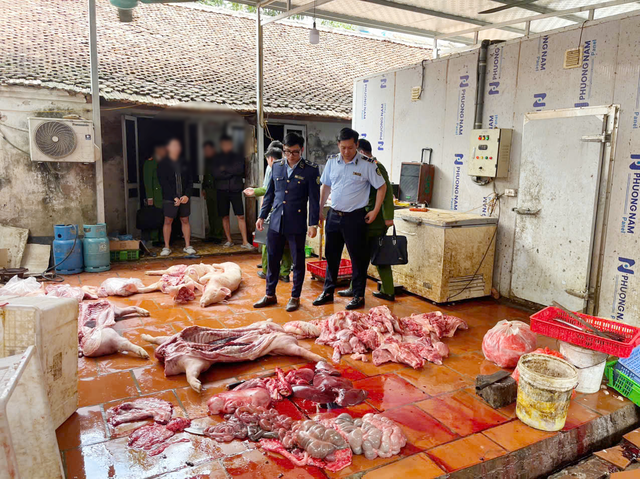 Gần 1 tấn thịt lợn và các sản phẩm từ lợn có dấu hiệu vi phạm quy định về an toàn thực phẩm, trong đó 7/9 mẫu xét nghiệm dương tính với virus Dịch tả lợn châu Phi (ASF) vừa được phát hiện tại Hưng Yên. 
