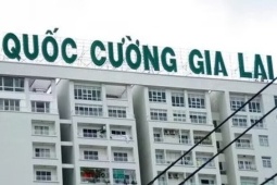 Quốc Cường Gia Lai còn nợ bà Trương Mỹ Lan bao nhiêu tiền?