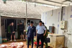 Chuyển cơ quan điều tra vụ gần 1 tấn thịt lợn nghi nhiễm dịch tả lợn châu Phi