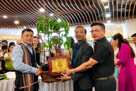 'Hoa hậu' sâm Ngọc Linh bán đấu giá hơn 700 triệu đồng