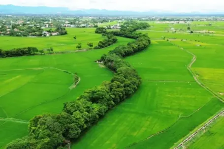 Khám phá rừng cây ‘báu vật’ 500 năm tuổi không ai dám chặt phá ở Huế